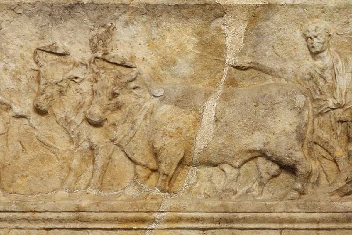 Seminario, 12 dicembre 2016 “La colonizzazione romana come chiave interpretativa della Roma delle origini” (Aula Diano, Palazzo Liviano)