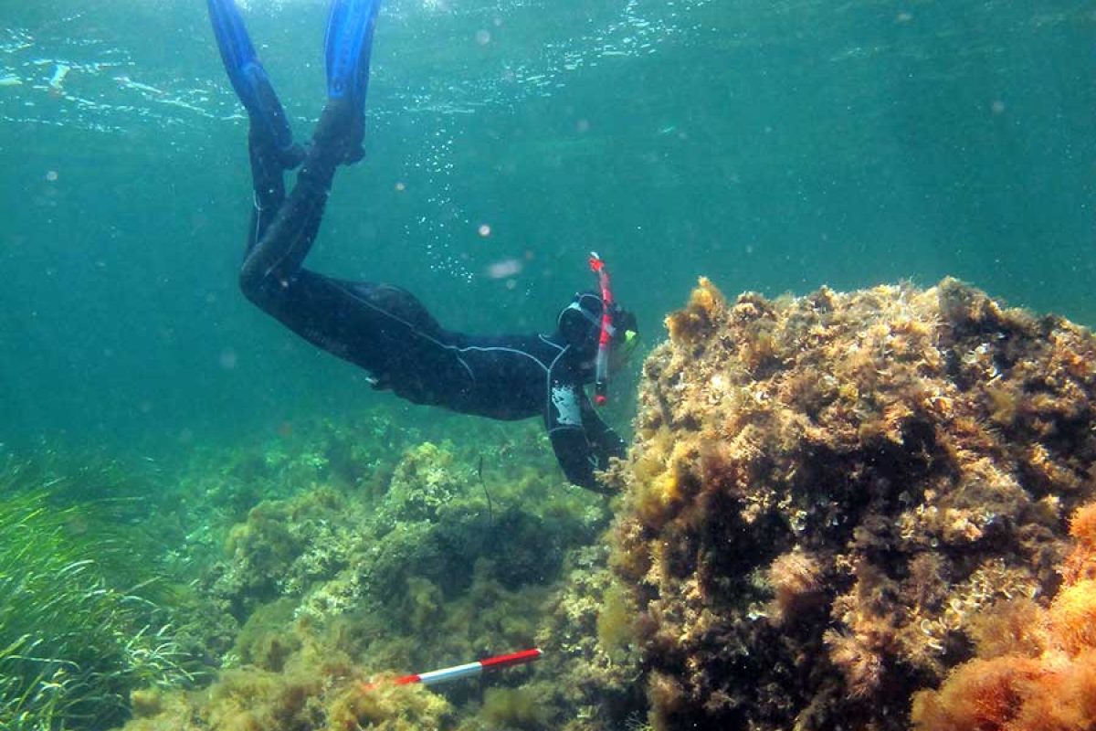 Giornata di studi, 19 aprile 2018 “Geoarcheologia delle aree costiere nel Mediterraneo occidentale” (Sala delle Edicole, Corte dell’Arco Vallaresso)